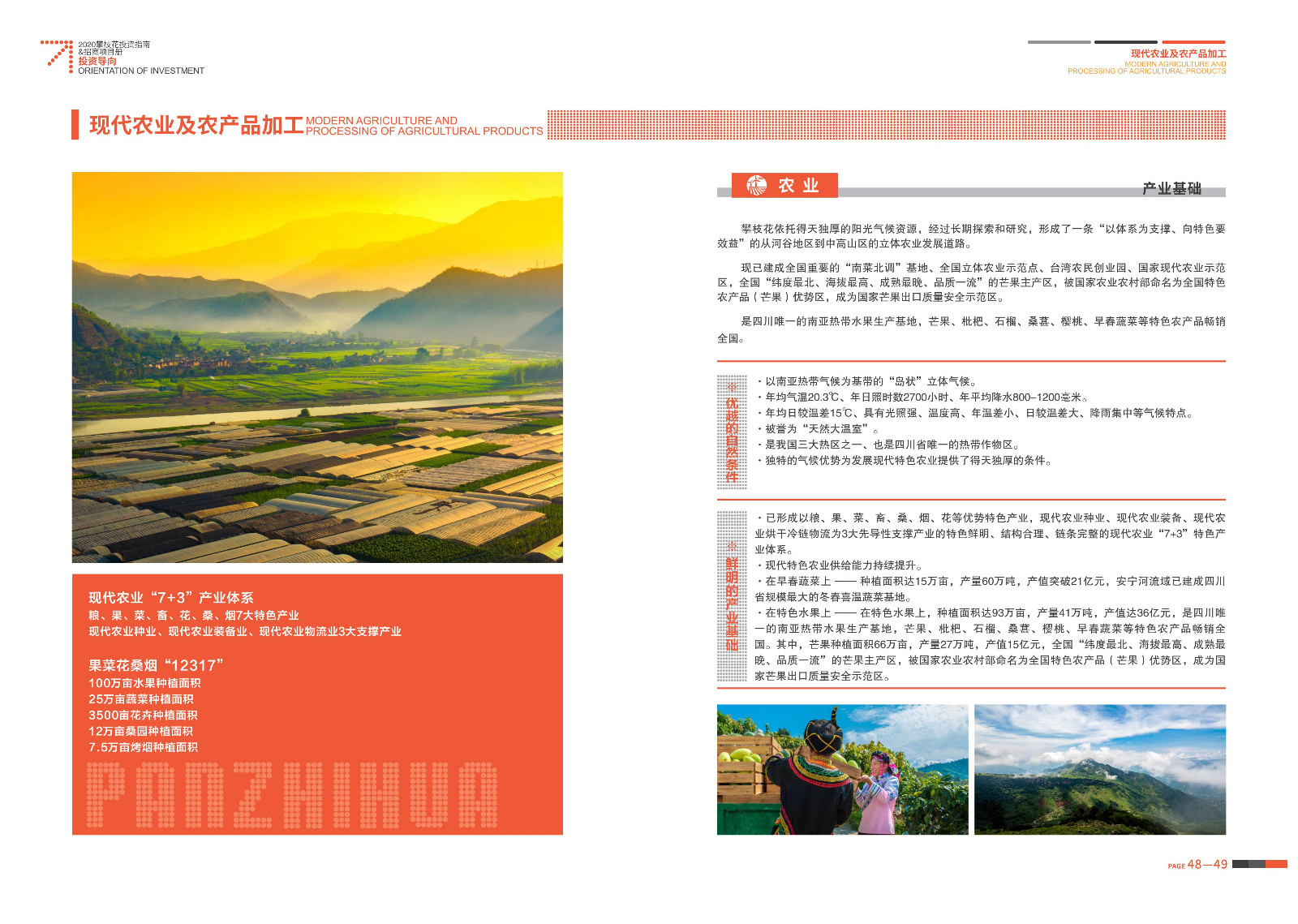 2020-2021攀枝花投資指南%26ampjpgBampjpgB招商項目冊（5.28改定）_25.jpg