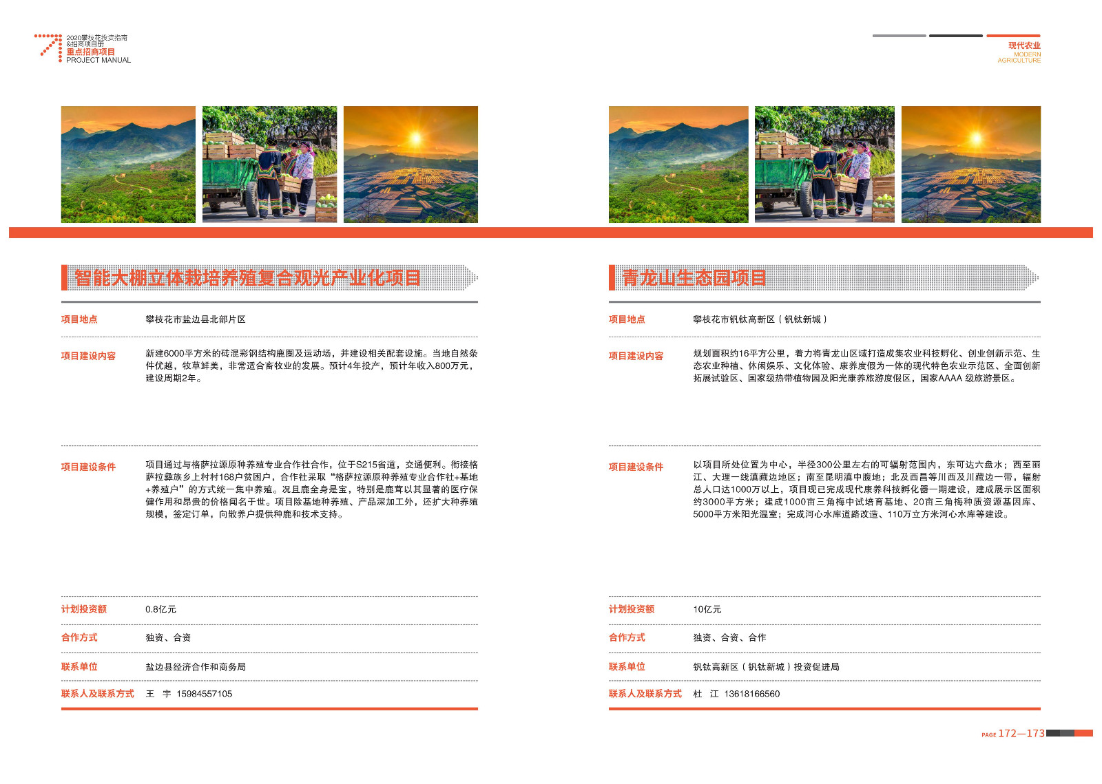 2020-2021攀枝花投資指南%26ampjpgBampjpgB招商項目冊（5.28改定）_87.jpg